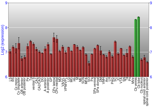 Multi-state expression graph