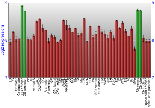 Multi-state expression graph