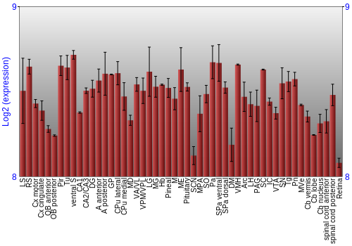 Expression graph