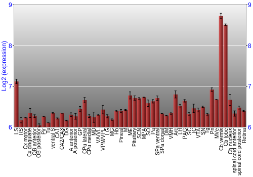 Expression graph