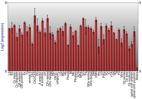 Expression graph