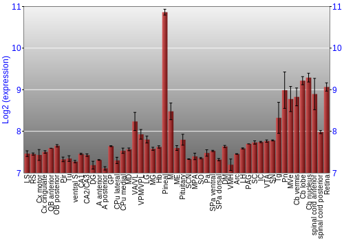 Expression graph