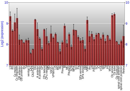Expression graph