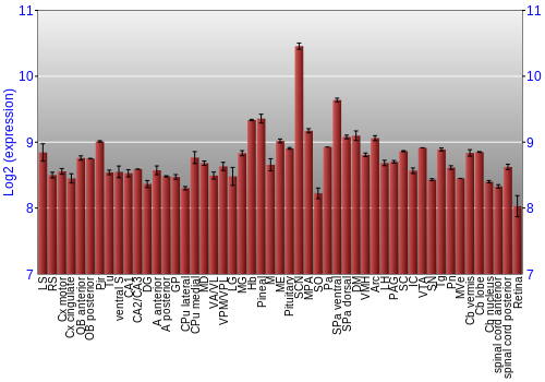 Expression graph