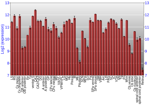 Expression graph