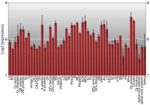 Expression graph