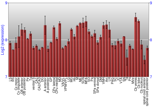 Multi-state expression graph