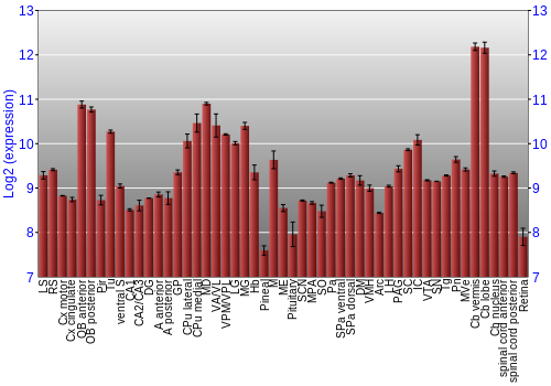 Expression graph