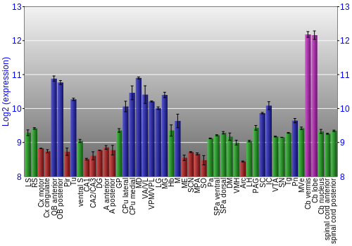 Multi-state expression graph