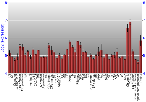 Expression graph