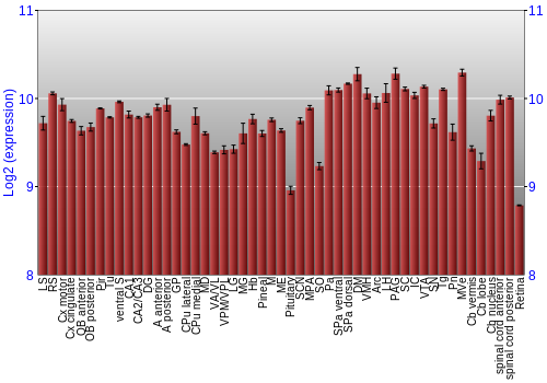 Expression graph