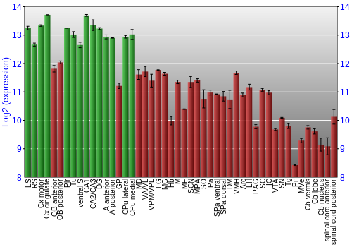Multi-state expression graph