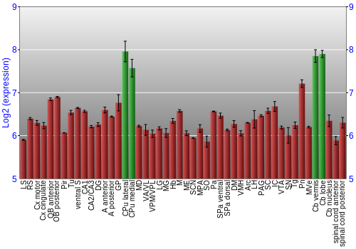 Multi-state expression graph
