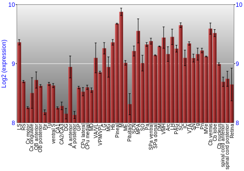 Expression graph