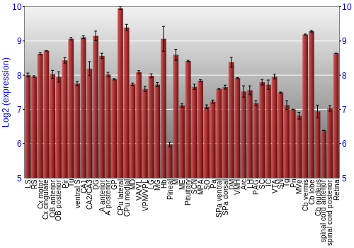 Expression graph
