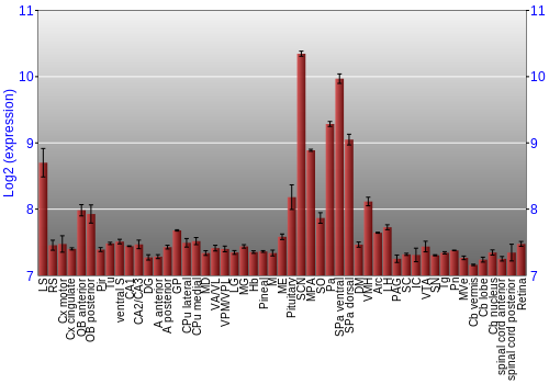 Expression graph