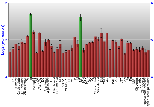 Multi-state expression graph