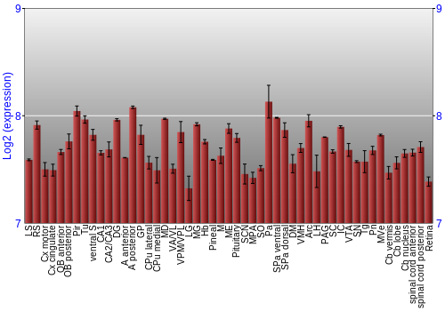Expression graph