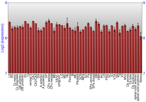 Expression graph