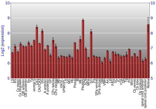 Expression graph