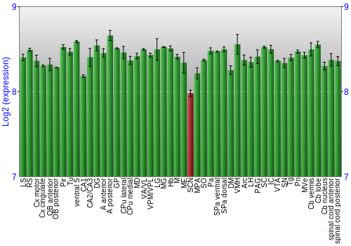 Multi-state expression graph