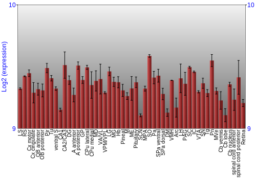 Expression graph