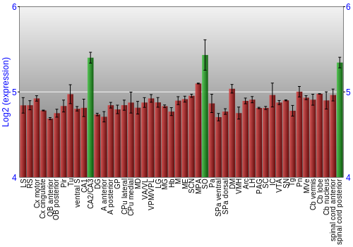 Multi-state expression graph