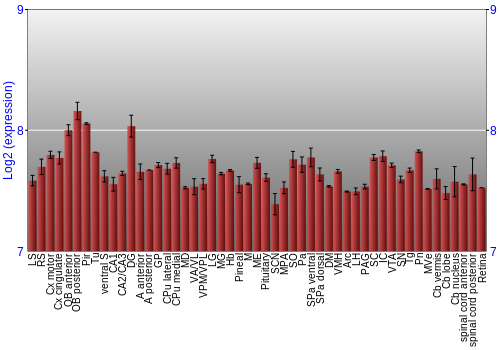 Expression graph