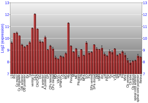 Expression graph