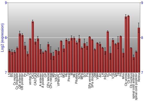 Expression graph
