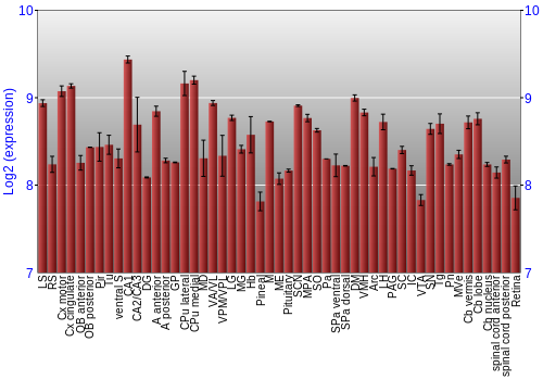 Expression graph
