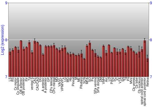 Expression graph