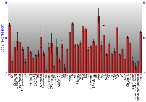 Expression graph