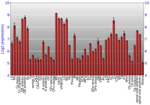 Expression graph