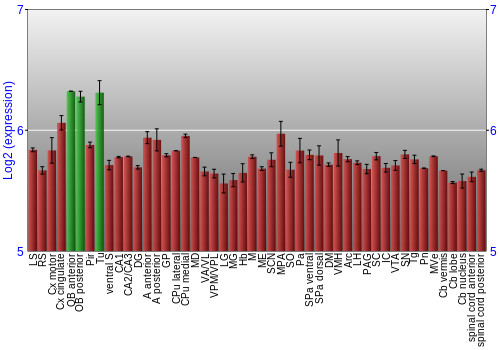 Multi-state expression graph