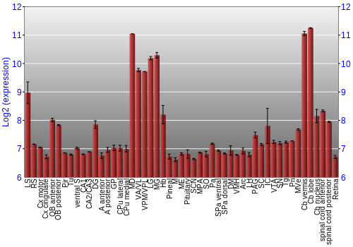 Expression graph