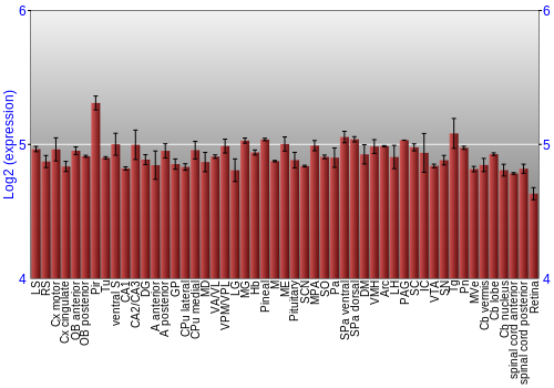 Expression graph