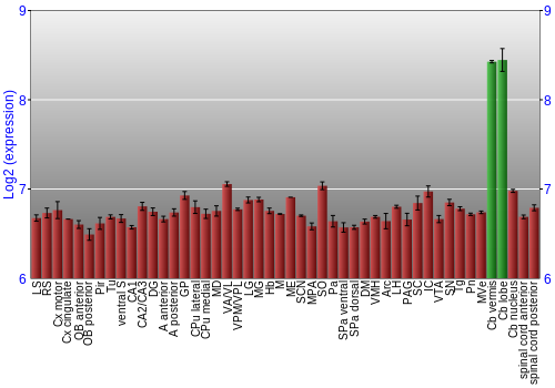 Multi-state expression graph