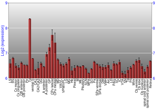 Expression graph