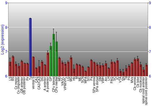 Multi-state expression graph