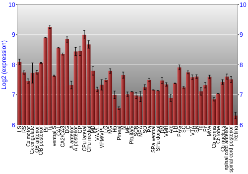 Expression graph