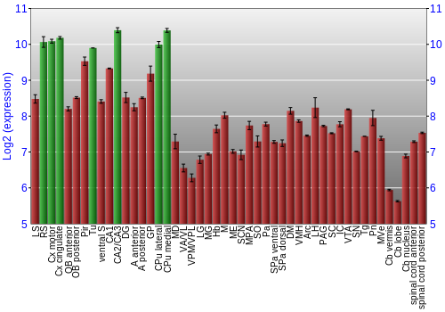 Multi-state expression graph