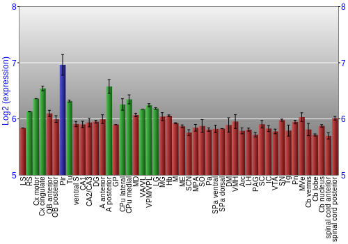 Multi-state expression graph