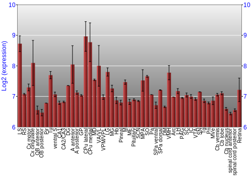 Expression graph