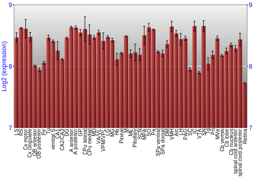 Expression graph