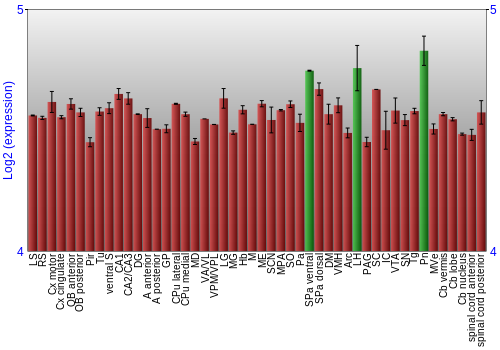 Multi-state expression graph