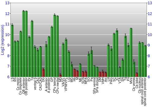 Multi-state expression graph