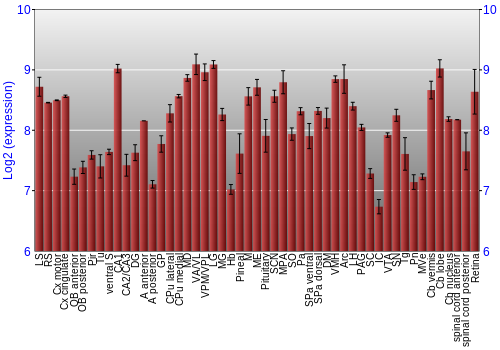 Expression graph