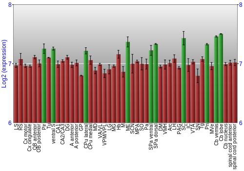 Multi-state expression graph