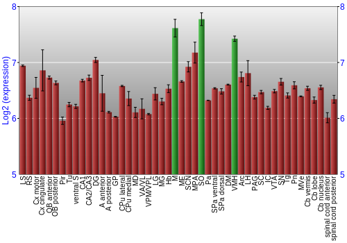 Multi-state expression graph